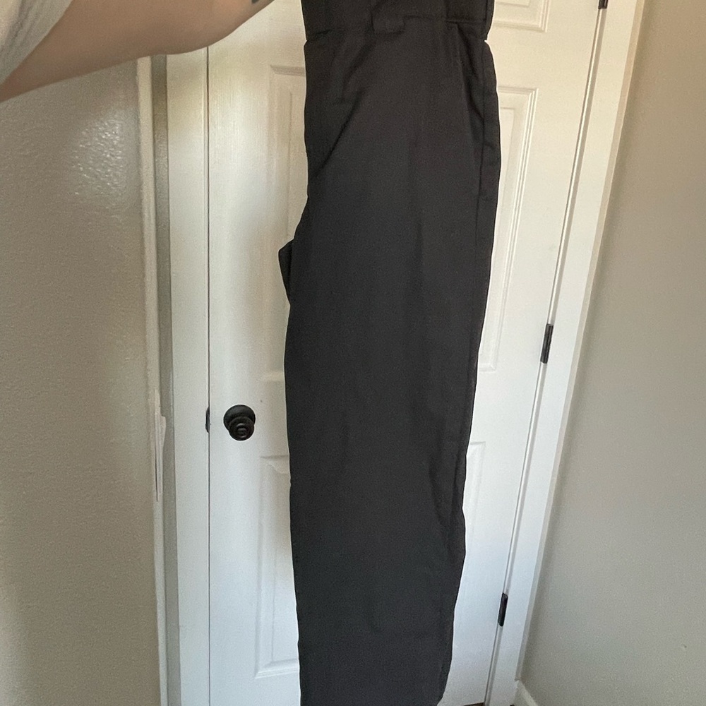Dickies Carpenter Pants